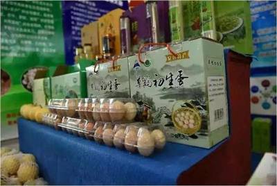 夏日果香四溢，大盛鎮生態園邀您盡享采摘之樂