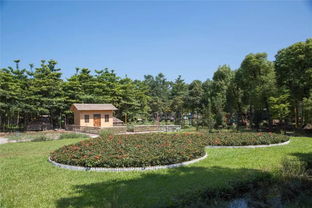 麻涌最美生態(tài)園 免費入園，盡享自然饋贈