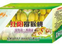 桂林綠色香生態(tài)園 山水間的生態(tài)綠洲，可持續(xù)發(fā)展的文旅新名片