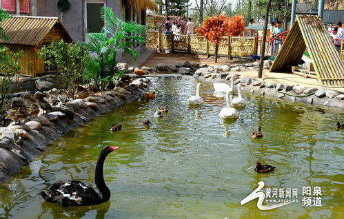 助力冬奧丨華北奕豐生態(tài)園戲雪樂園即將開園，生態(tài)旅游與冰雪運動完美融合