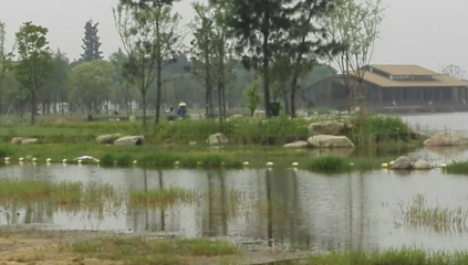 勝地公園 吳江最大的生態(tài)園，自然與人文的完美融合