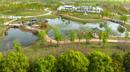 湖北襄陽 魚梁洲中央生態(tài)公園開園，市民盡享“城市綠肺”新生活